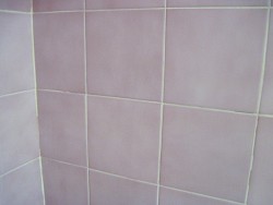 Grout cleaned with hydrogen peroxide. Photo: Chaya Goodman Kurtz.