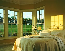 EcoExcel windows by Andersen Corporation.
