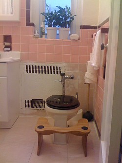 There she is, the Squatty Potty.
