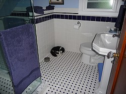 Photo of a beautiful new black and white tile floor by lavenderstreak/flickr.