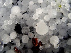 Photo of hail by carterboy/sxc.hu.
