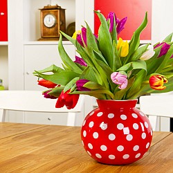 Photo of a beautiful vase of spring tulips by IvonneW/istockphoto.com.
