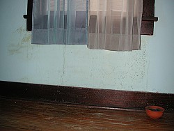 This moldy wall could have been caused by condensation. (Photo: Editor B/Flickr)