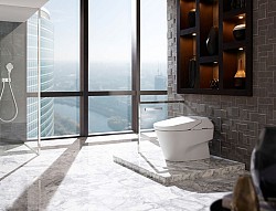 The Toto Neorest via PPNewswire.com
