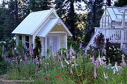 Photo: Pamela Groppe/Hometalk
