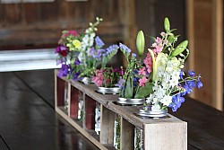 Photo: Old World Garden Farms/Hometalk