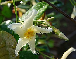 Photo: Karen Dorsett/Flickr