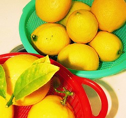 Photo: Rachel Titiriga/Flickr