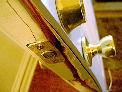 Photo: Tim Samoff/Flickr