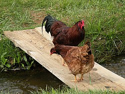 Photo: Living Off Grid/Flickr