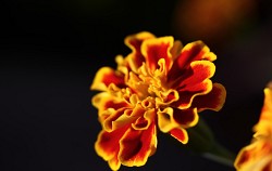 Photo: wallyir/Morguefile