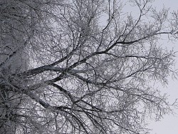 Photo: SDRandCo/Morguefile