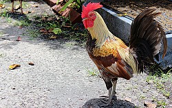 Photo: TalmadgeBoyD/Flickr