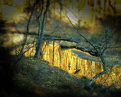 Photo: Max Rempel/Flickr