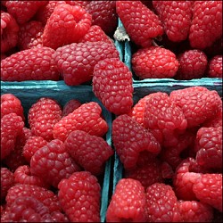 Photo: Market Manager/Flickr