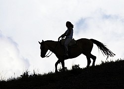 Note: we recommend wearing a helmet while horseback riding! Photo: David/Flickr