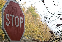 Photo: Stuart Heath/Flickr