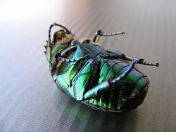 Photo: Public Domain Photos on Flickr.
