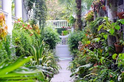 Do you want a lush garden like this one? Encourage earthworms! (Photo: Roger Kirby/sxc.hu)