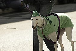jpmpinmontreal/Flickr