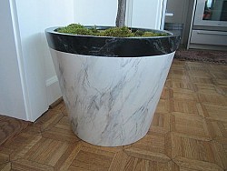Planter and photo by Kass Wilson/Wallstreat Studios.