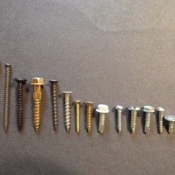 Can you identify these types of screws? (Photo: Laura Foster-Bobroff)
