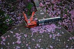 busbeytheelder /Flickr Creative Commons