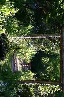 A rustic arbor in a garden near Atlanta. (Photo by Erica Glasener.)