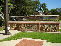 Hyde Park in Austin is the neighborhood where the radical roof replacement happened. (Photo: WhisperToMe/Wikimedia Commons)