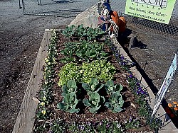 Garden and photo by Four Season Nursery &amp; Landscaping via Hometalk.com. 