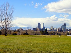 The skyline of Denver. Watch out for pests. (Photo: manisi/sxc.hu)