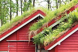 Image from Natural Home and Garden