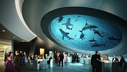 The shark tank above the gala hall at the Patricia and Phillip Frost Museum of Science in Bicentennial Park in Miami [via Architzer.com]