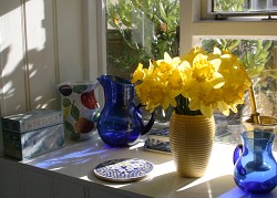 lizevans/stock.xchng