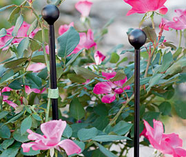 Essex Flower Stakes via Gardeners.com