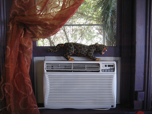 Infrogmation/flickr