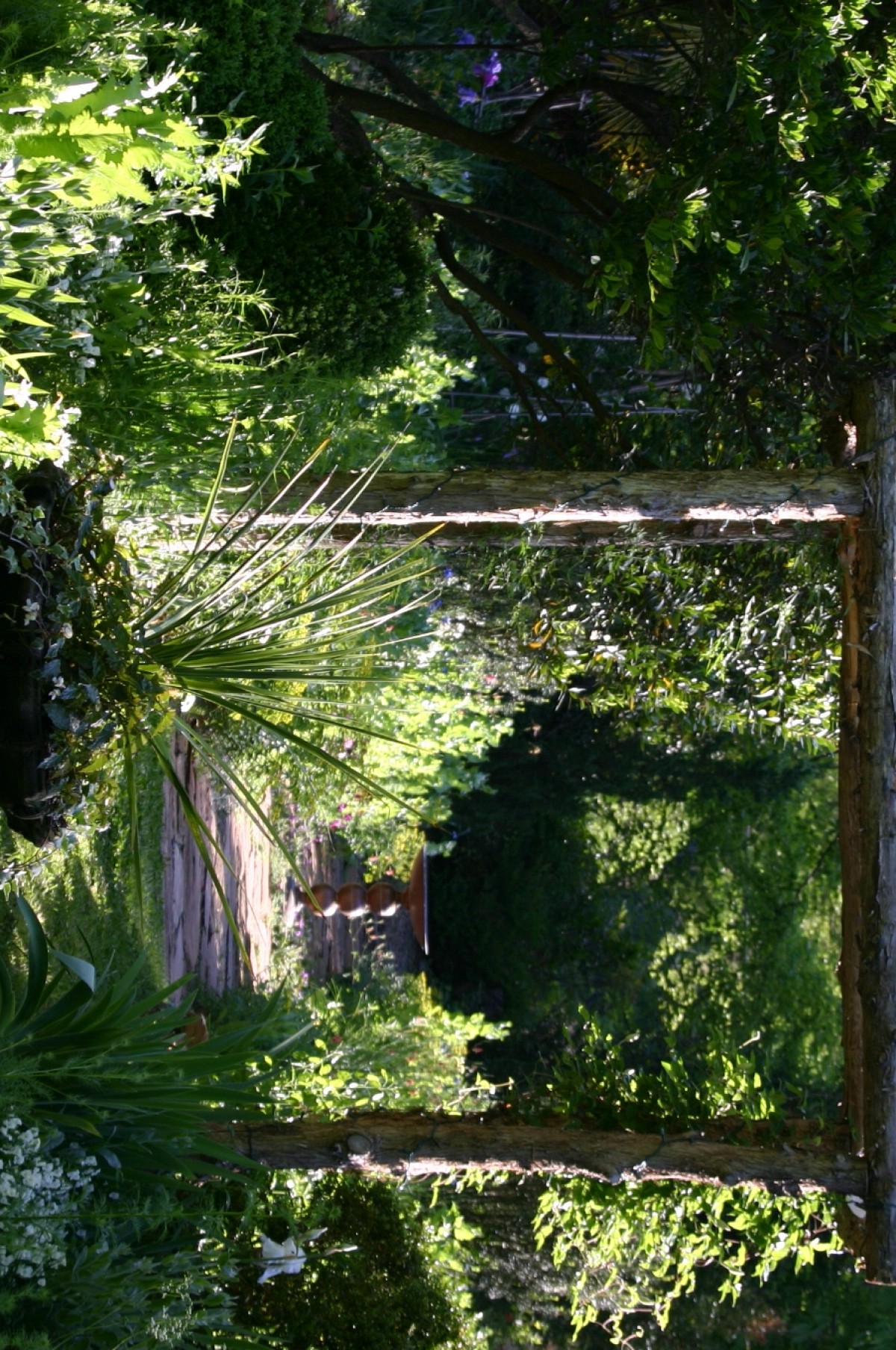 A rustic arbor in a garden near Atlanta. (Photo by Erica Glasener.)