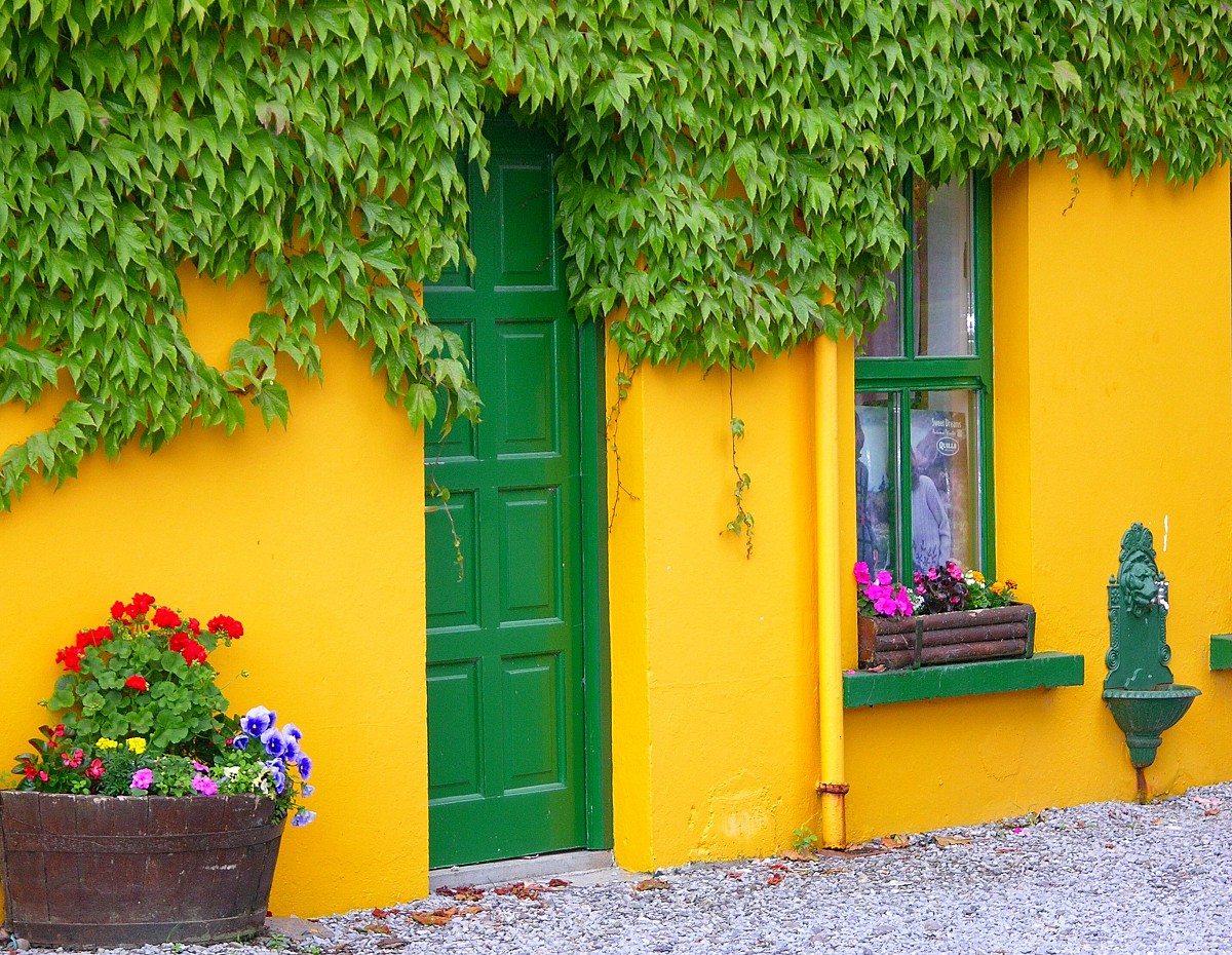 Go bright or go home. Would your HOA stand for this? (Photo: Mira Pavlakovic/sxc.hu)