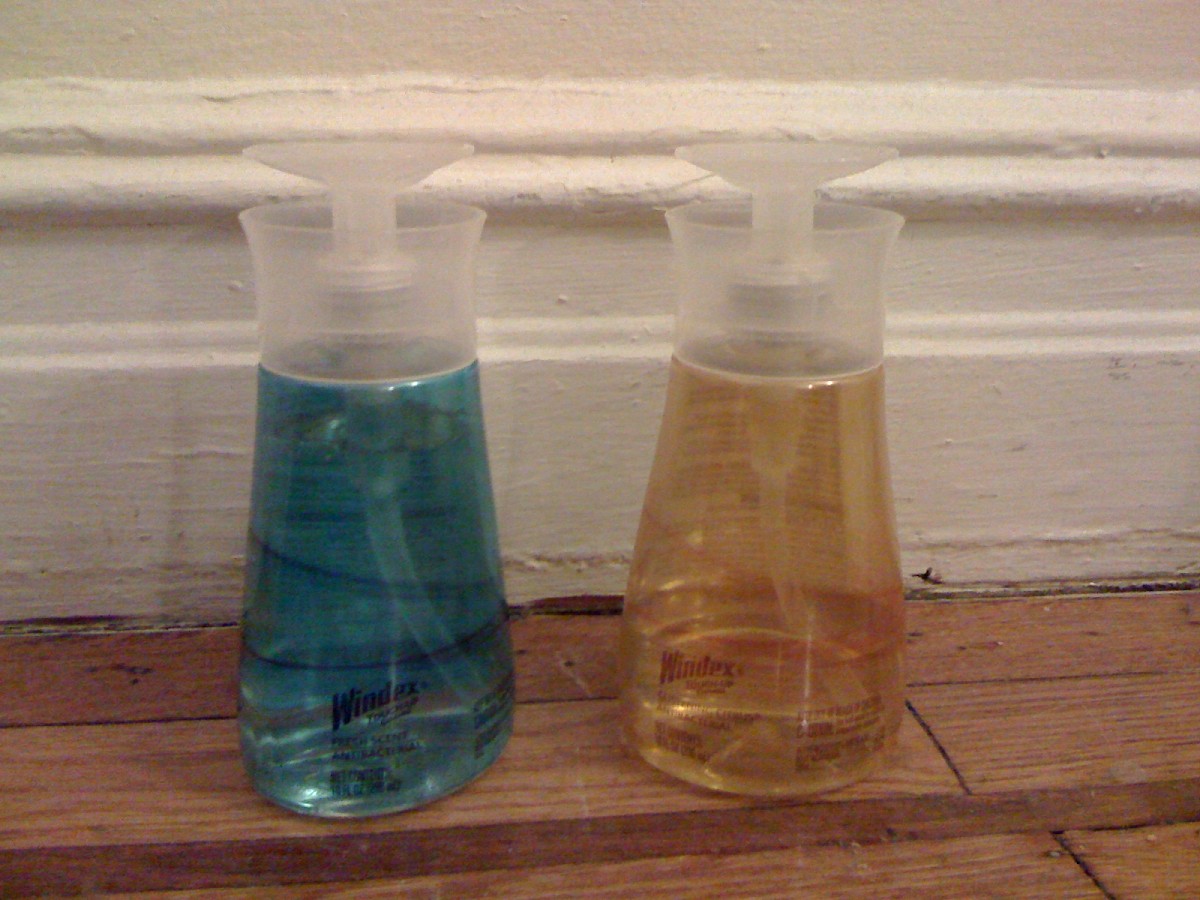 Windex Touch-Up