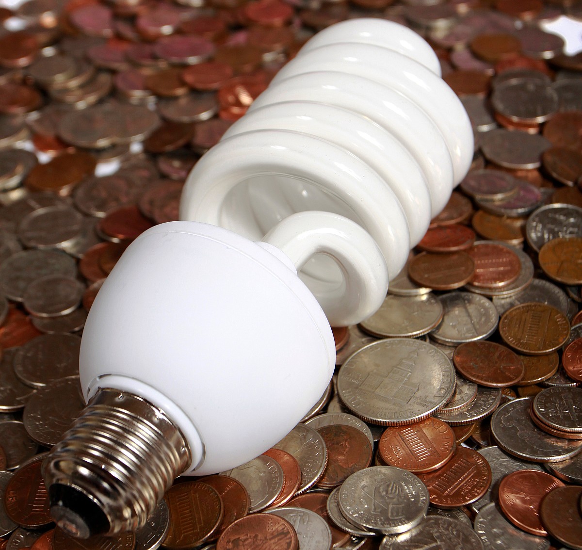 CFL bulbs can save you money. (Photo: Claudio Jule/sxc.hu)