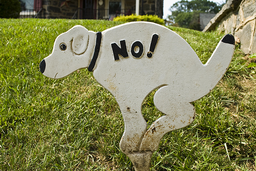 No pooping!