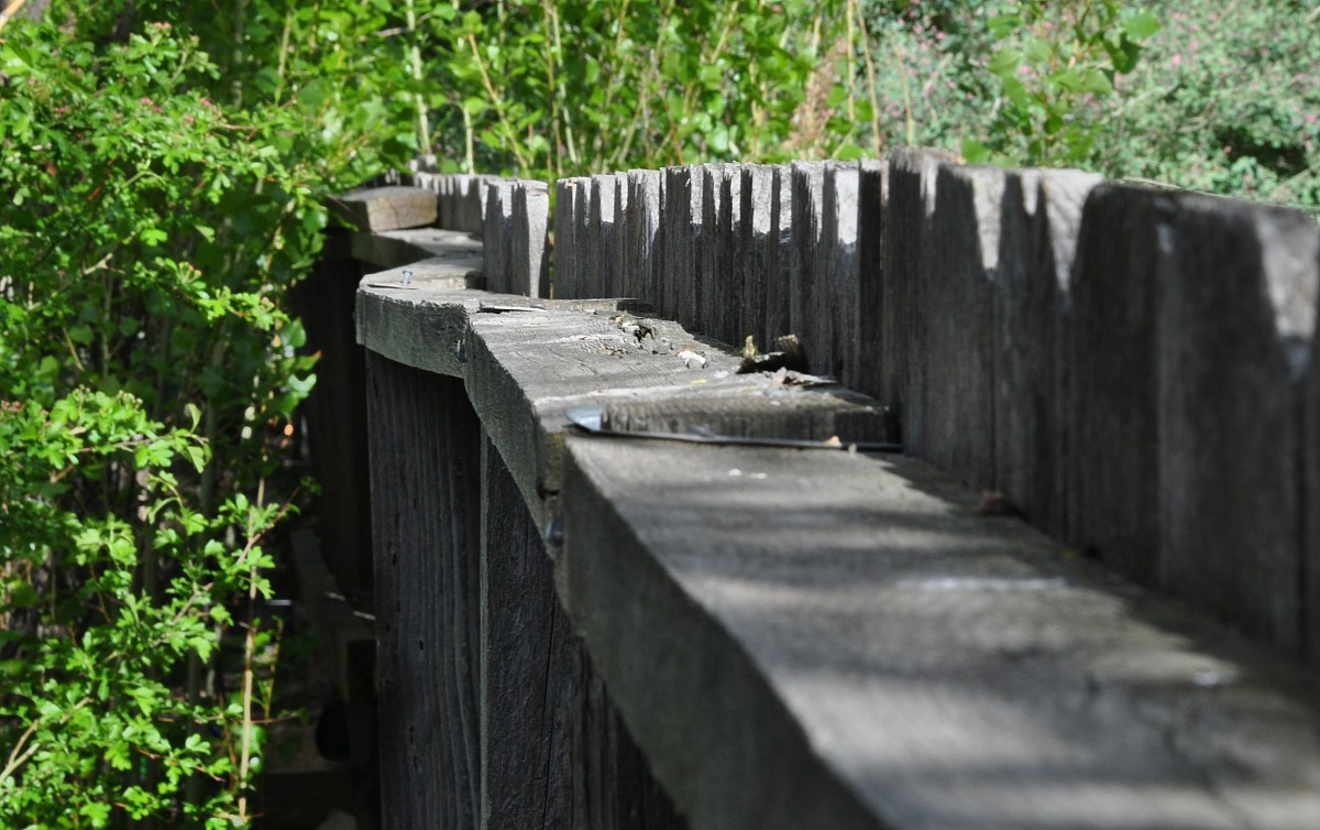 A wood fence is only as strong as its posts. Anchor posts properly in concrete, never directly in the soil. (Photo: Kevin Stevens)