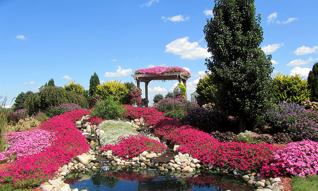 Do you want your garden to be lush and beautiful? It needs a few things from you. (Photo: rkramer62/Flickr)