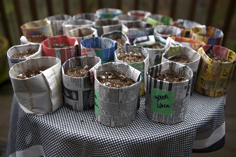Newspaper seed pots that I made! --Sayward