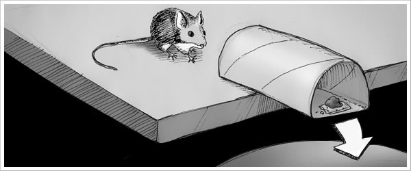 DIY mouse trap