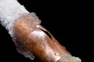 frozen burst pipe