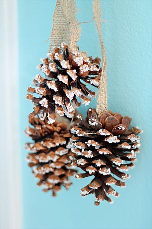 Epsom salt encrusted pine cones by Domestically Speaking via Hometalk.com.