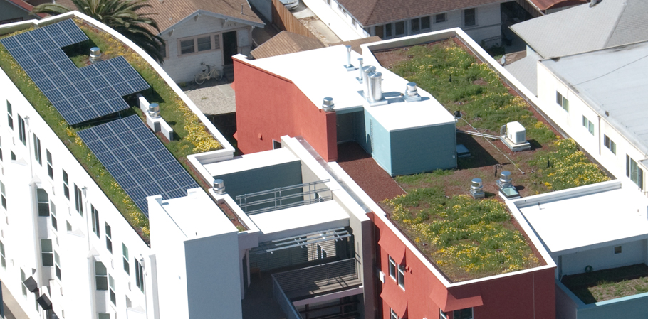 Casa Feliz's Living Roof Photo: casafelizapartments.org