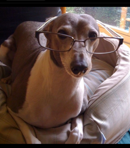 They’re just reading glasses, okay?