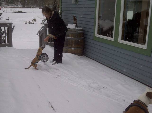 Willa and Leslie, enjoying a snowy day. Willa and Leslie, enjoying a snowy day.